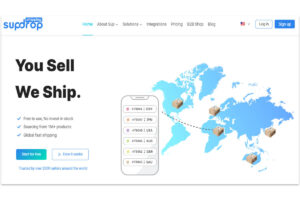 12 Best Dropshipping Websites For Growing Your Business 2025