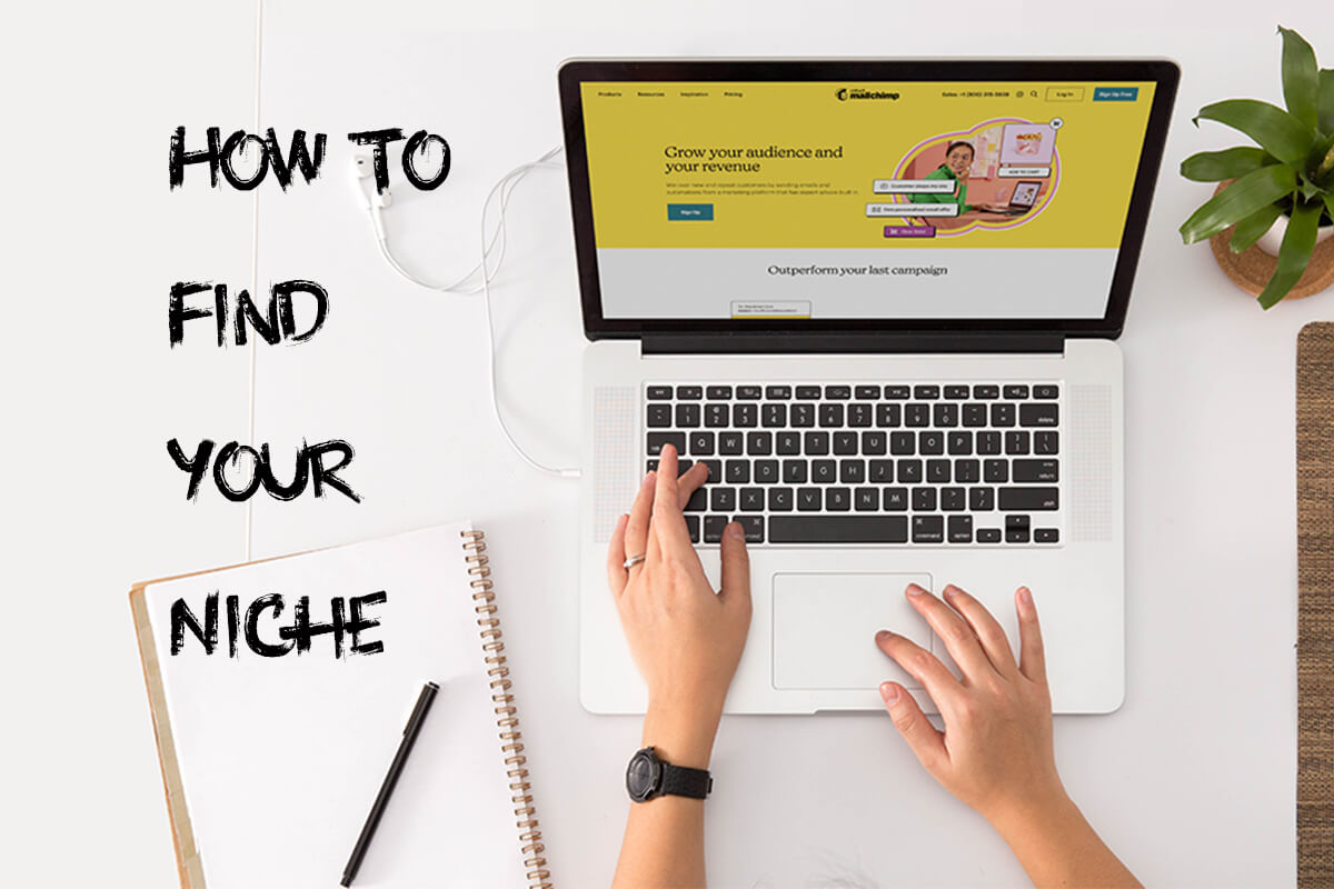 How to find your niche