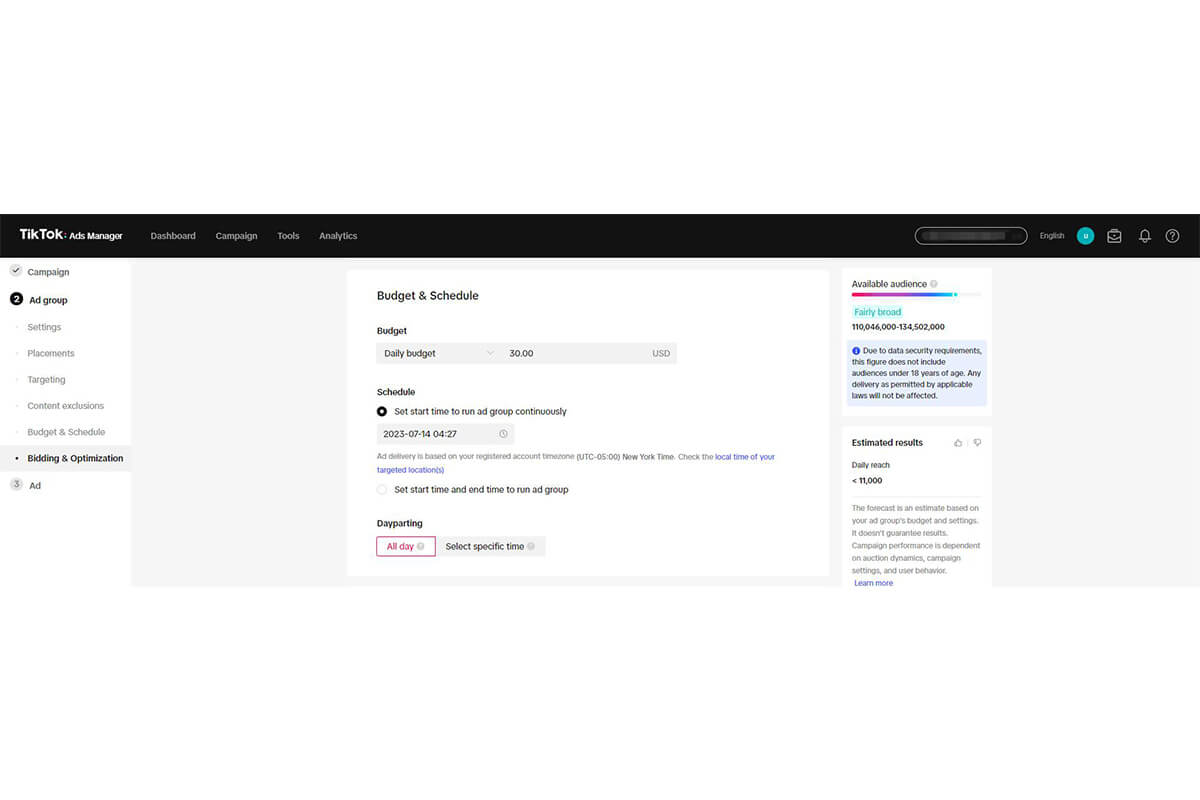 Set your ad group budget and schedule