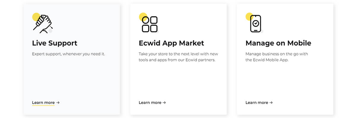 Ecwid features