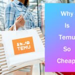 لماذا يعتبر Temu رخيصًا جدًا