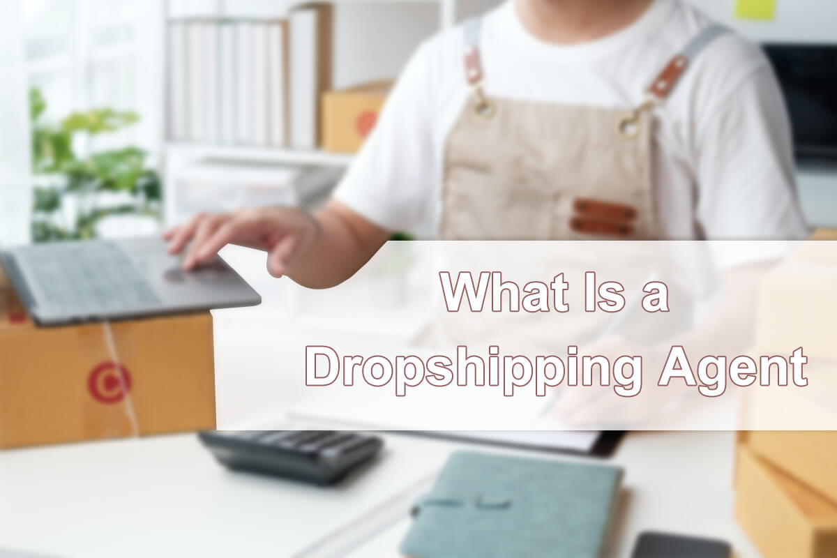 ¿Qué es un agente de dropshipping?