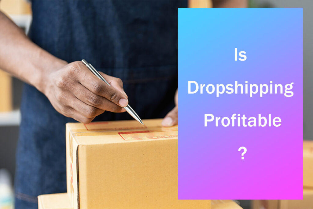 Il dropshipping è redditizio?