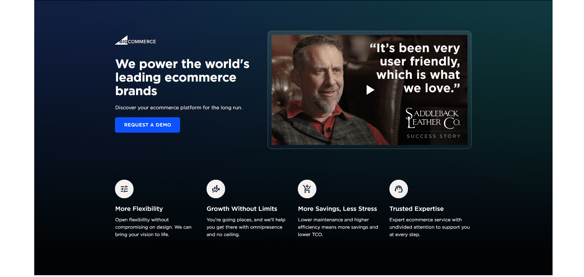 Witryna internetowa Bigcommerce