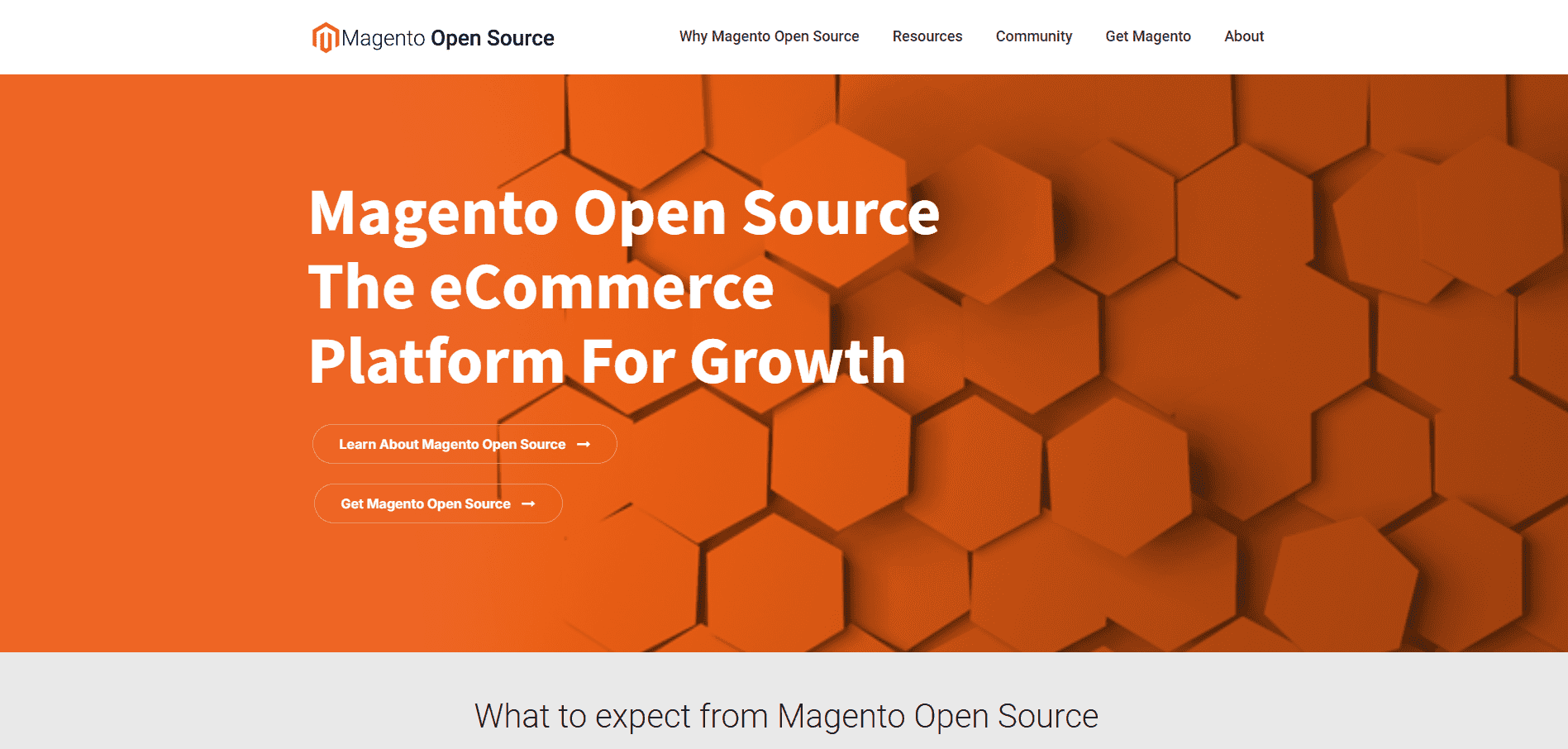 Witryna Magento