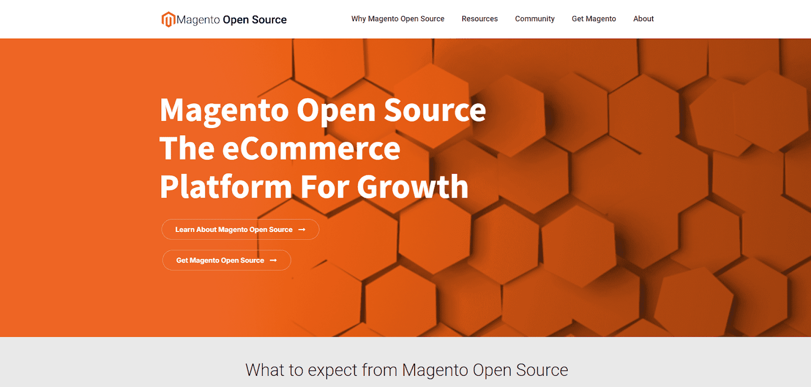 Magento website