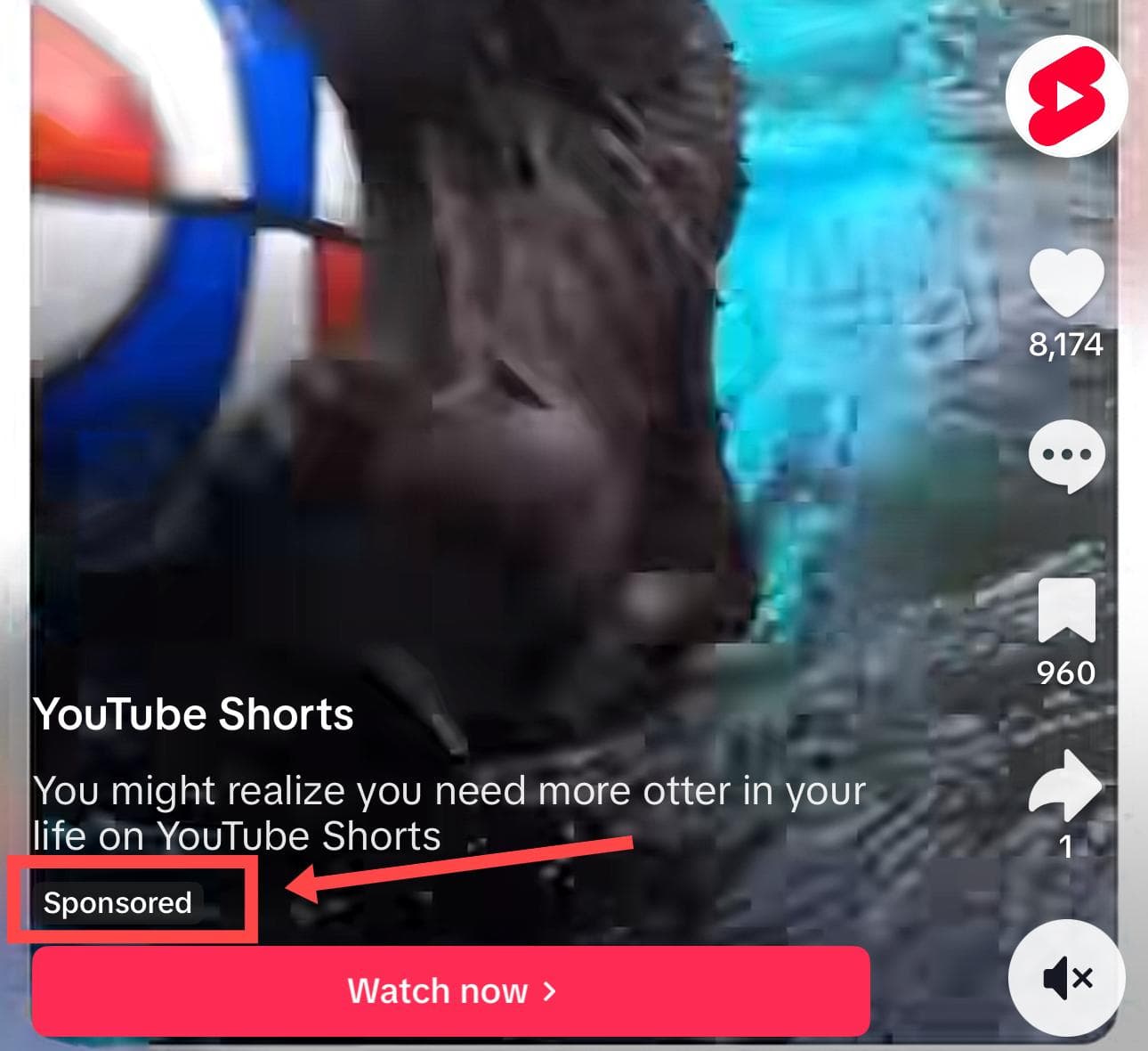 إعلانات تيك توك